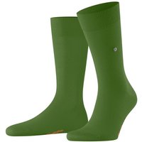 Burlington Socken Lord (1-Paar) mit Bio-Baumwolle Hersteller: Burlington Bestellnummer:4049508405395